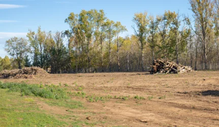 Land Clearing
